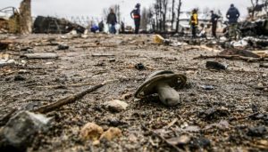 Rus saldırıları sonucunda Ukrayna’da 38 çocuk hayatını kaybetti