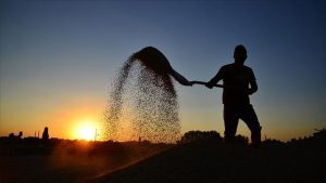 Tarımsal destek ödemeleri ne zaman başlayacak? 2022 çiftçilere ödemeler başladı mı?