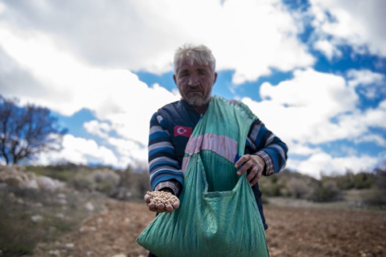 Büyükşehir’le Üretici Kazanıyor, Yerel Tohumlar Korunuyor