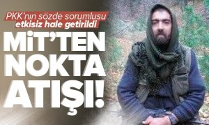 PKK/YPG’nin sözde sorumlusu Mehmet Aydın Suriye’de etkisiz hale getirildi.