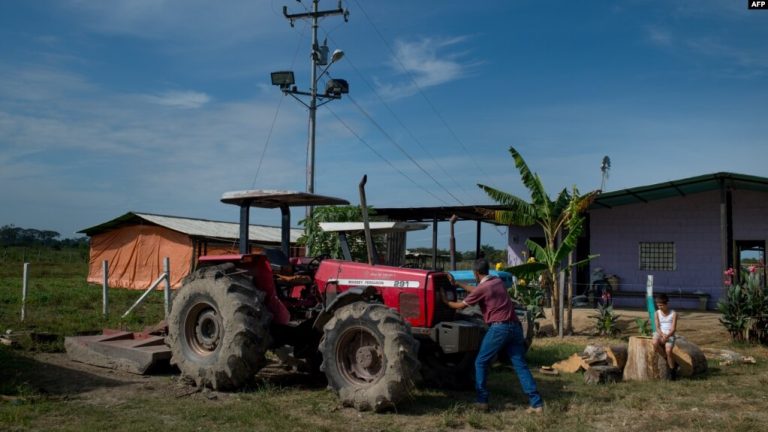 Venezuela’da Gıda Üretimi Kan Kaybediyor