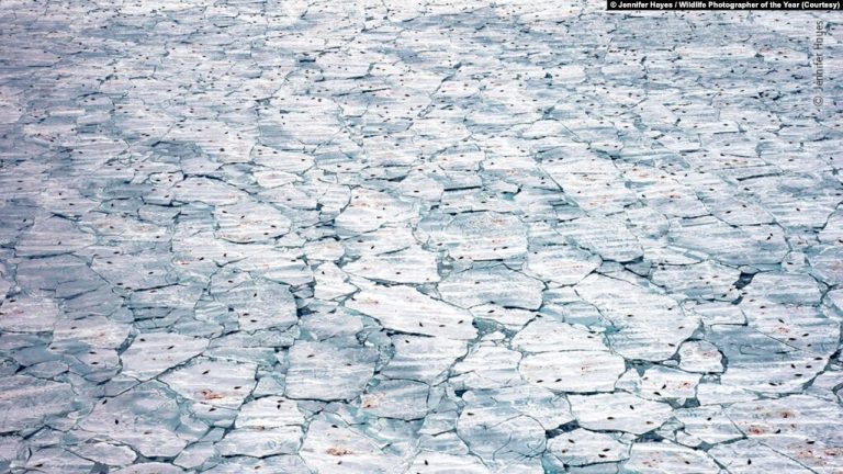 Gençler İklim Değişikliğinden Endişeli