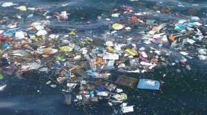 Plastikten kaynaklı kirlenme en fazla tek kullanımlık ürünlerden kaynaklanıyor
