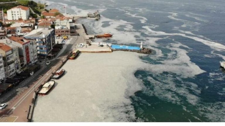 “Benim Marmaram Hayata Kavuşmalı!” Diyen Herkes İçin Marmara Kültürleri Ağı