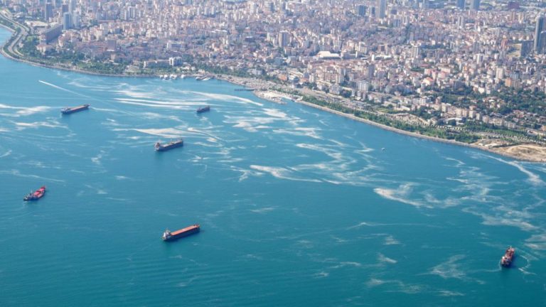 Su Politikaları Derneği : Marmara Denizini Kurtarmak için Acilen Havza Yönetimine Geçilmeli 