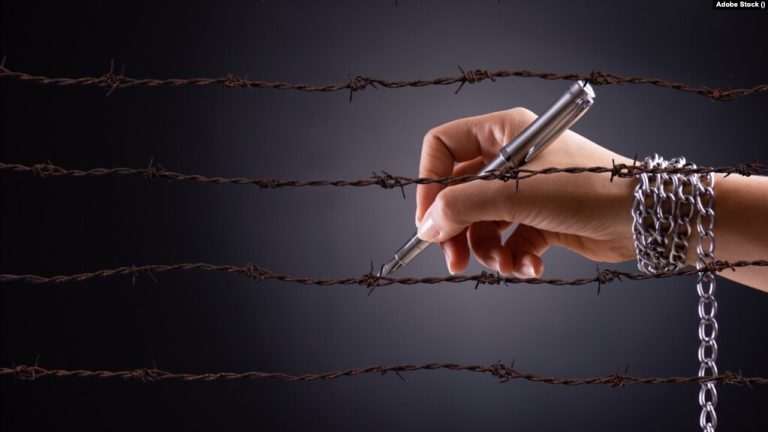 ABD’de Basın Özgürlüğü İçin Karar Tasarıları