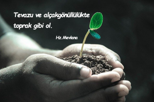 Alçak Gönüllülük