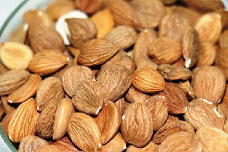 Malatya’da kayısı çekirdeği ihracatı ilk çeyrekte 5 milyon 198 bin dolara ulaştı