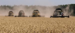 Türkiye buğdayda sıkıntı yaşar mı?