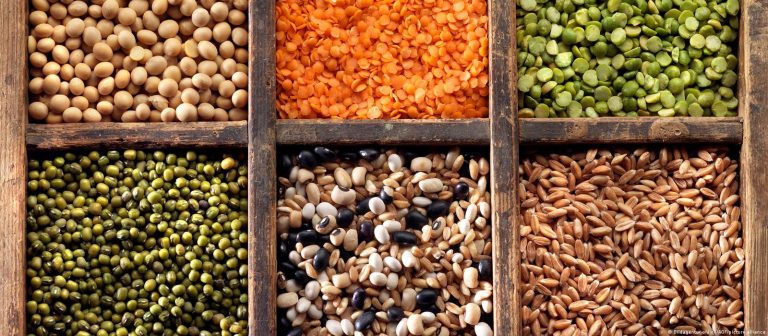 Tarım ürünlerinde üretici fiyatlarında rekor artış