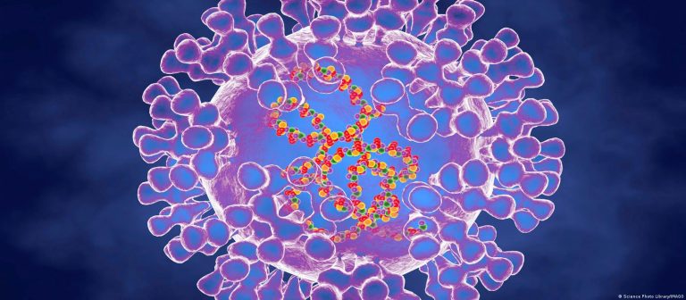 Almanya’da maymun çiçeği vakalarına karantina tavsiyesi