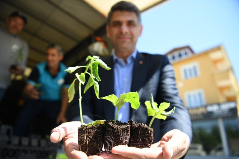 Kocaeli Kartepe’de 123 bin fide toprakla buluştu