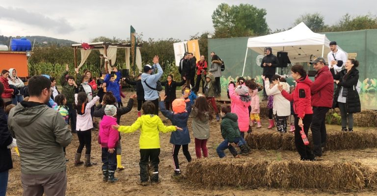 Avrupa’nın en büyük bahçesi, “Corn Maze Bahçe” Ağva’da kuruluyor 