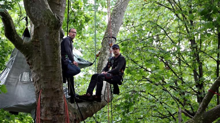 Fransız çevreci, Eyfel Kulesi’nin önündeki 200 yıllık ağacın üzerinde açlık grevi yapıyor
