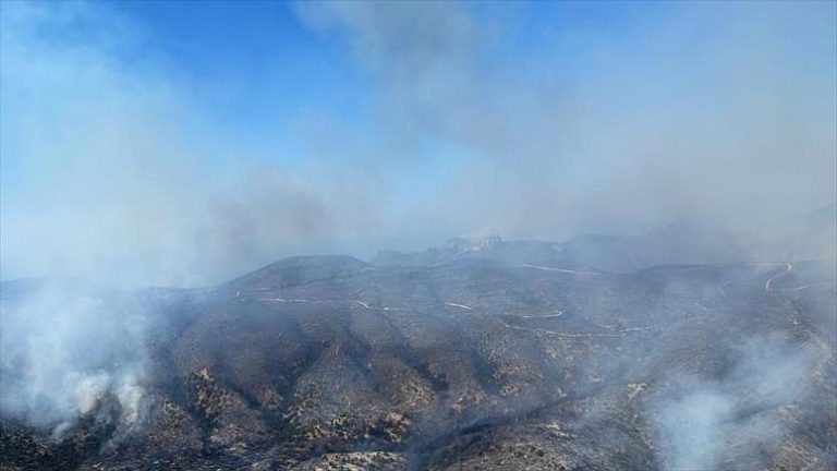 Kıbrıs’ta Türkler ve Rumlar orman yangınlarını söndürmek için seferber oldu
