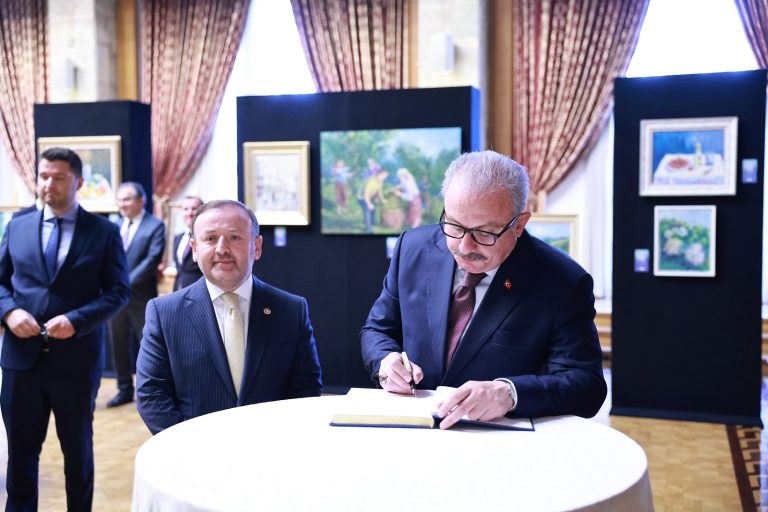 TBMM Başkanı Şentop, AK Parti’li Öztürk’ün “Ülkemden Renkler” isimli resim sergisini açtı