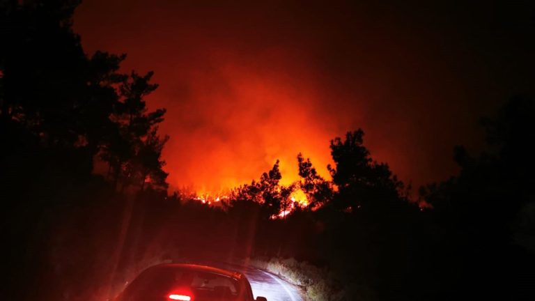 İletişim Başkanı Altun’dan Marmaris’teki yangına ilişkin açıklama
