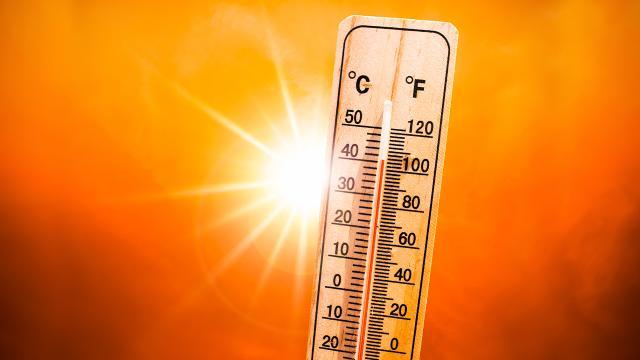 Avrupa ülkeleri 40 dereceyi geçmesi beklenen aşırı sıcaklara karşı kırmızı alarma geçti
