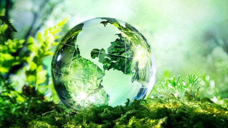 “2022-2 BİGG Yeşil Büyüme Çağrısı”nın Başvuru Süresi Uzatıldı!