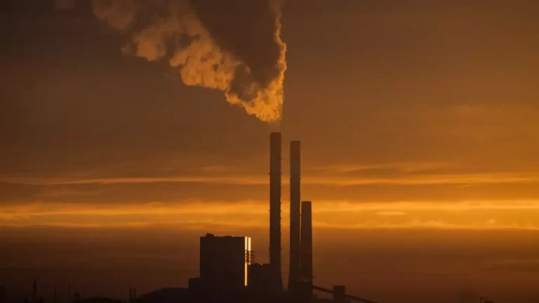 Temiz Hava hakkı Platformu: Hava kirliliği aşırı sıcaklarla birleşince ölüm riski artıyor