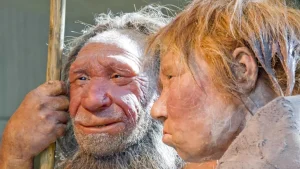 Araştırma: En eski yemek kalıntıları, neandertallerin gurme olduğunu gösteriyor