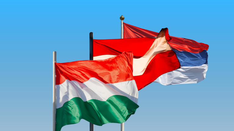 Düzensiz Göçe Karşı Avusturya-Macaristan-Sırbistan İttifakı