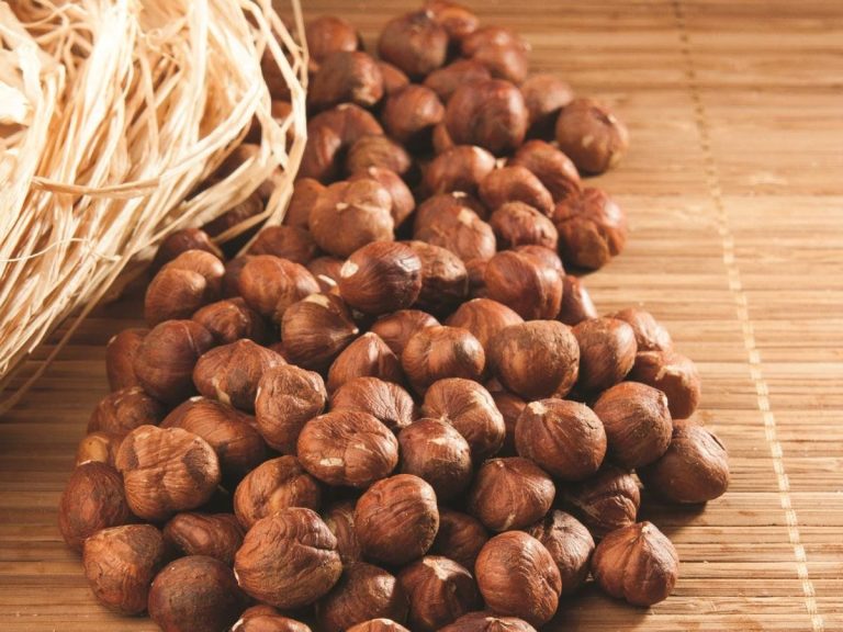 Fındık fiyatları 27 Kasım 2022 ne kadar oldu? Bugün güncel fındık fiyatları kaç TL?