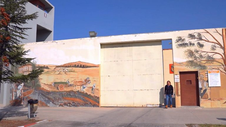 TRT Haber, kadın mahkumlarla bir gün geçirdi: Cezaevinde büyüyen çocuklar