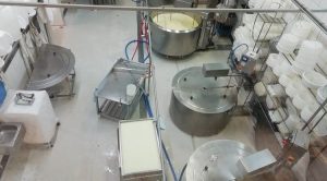 Fermente süt ürünlerine yeni kriterler!