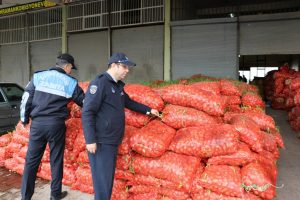Şanlıurfa Büyükşehir Belediyesi Zabıta’dan Denetim, Çürümüş 22 Ton Soğan İmha Edildi