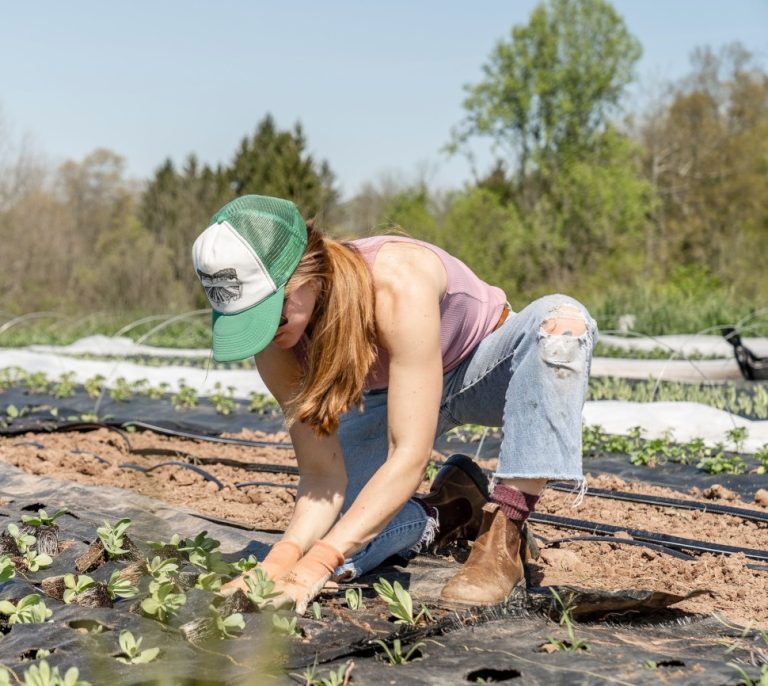 Foodback, tarım ve gıda alanında değişimin öncülerini Gıdada Etki Konferansı’nda bir araya getirdi.
