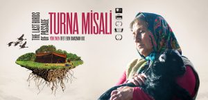 Tarsuslu kadınlar ilk sinema deneyimlerini, Turna Misali filmiyle yaşadı