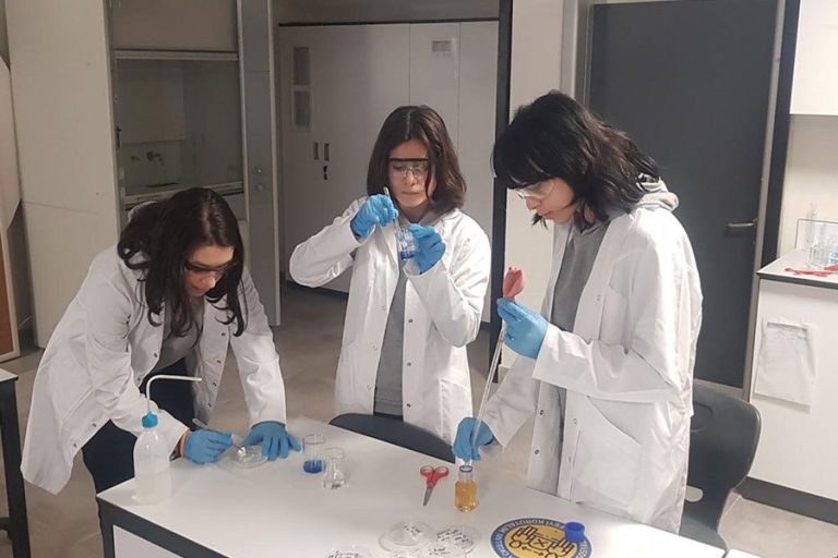 Antalyalı üç lise öğrencisi, meşe palamudundan biyoplastik üretti…