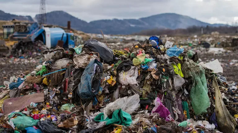 Atıkların Doğaya Verdiği Zararlar