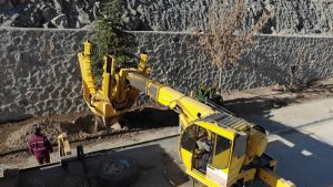 Türkiye’nin en büyük ağaç şaşıma işlemi gerçekleştiriliyor