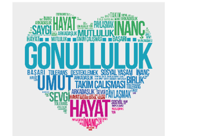 Genç Gönüllüler ve Gönüllülük…