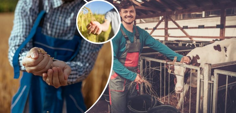 Uzman eller projesi hibe desteği 250 bin liraya çıkarıldı…