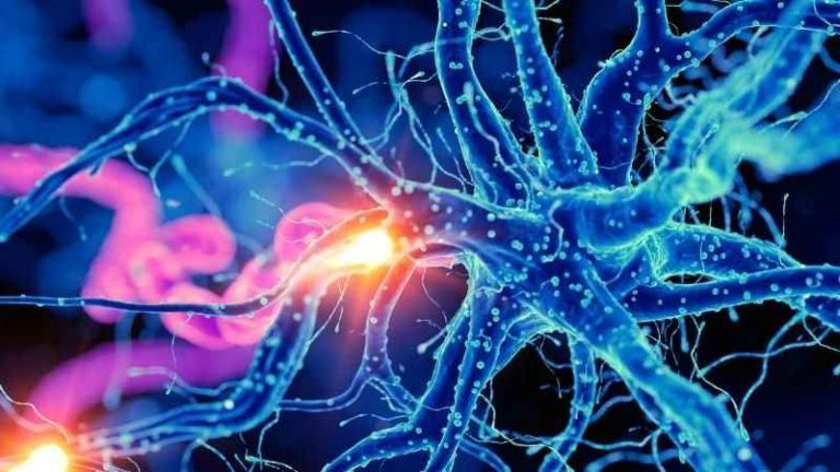 Sinir ağı özellikleri analiz edilerek bunama riski tahmin ediliyor!