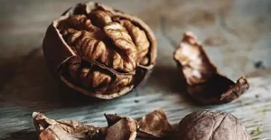 Cumhuriyet Halk Partisi (CHP) Uşak Milletvekili Özkan Yalım, “İthal edilen ceviz üreticiyi mağdur ediyor”