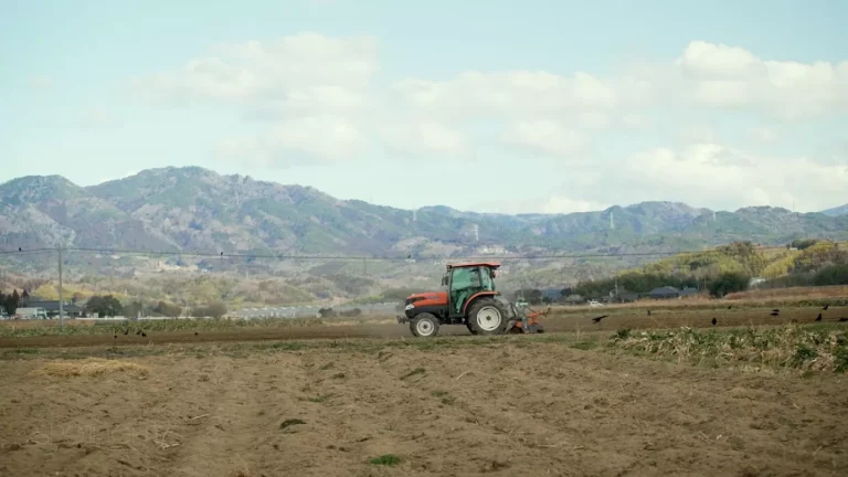 Fukuşima, deprem sonrası tarımsal üretimini canlandırmaya çalışıyor