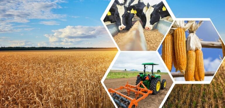 Afet Bölgesindeki yetiştiricilere 1 milyar 438 milyon TL destekleme ödemesi