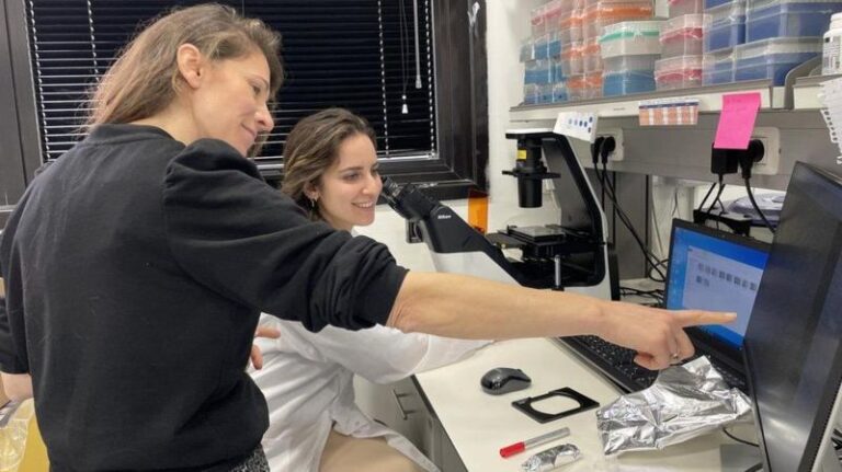 Yapay zeka sayesinde ‘kişiye özel ilaç’ devri mi başlayacak?