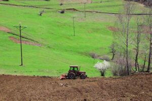 Ordu’da 21 bin 250 dönüm atıl durumdaki arazi üretime kazandırıldı