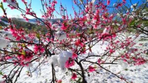 El Niño gelmeden kayıtlardaki en sıcak ikinci mart ayı kaydedildi