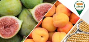 Türk Tarım ve Gıda Ürünleri Coğrafi İşaret Tesciliyle korunuyor