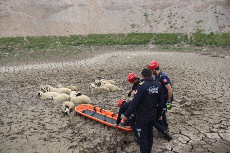 Kayseri Büyükşehir İtfaiyesi’nden Bataklıkta Koyun Kurtarma Operasyonu