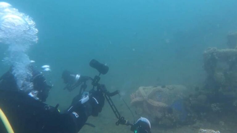 TRT Haber ekibi Erdek Körfezi’nde: Müsilaj geri mi geliyor?