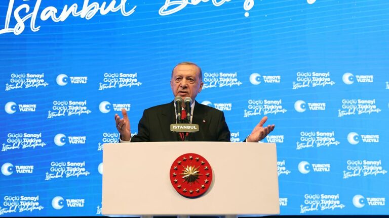 Cumhurbaşkanı Erdoğan: Terör örgütleriyle görüşmedik, inlerinde vurduk