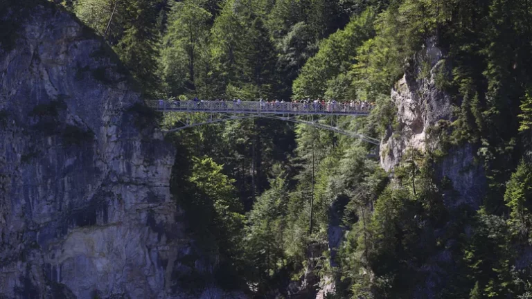 Almanya’da iki kadına cinsel saldırıda bulunarak yamaçtan kayalıklara iten şüpheli yakalandı