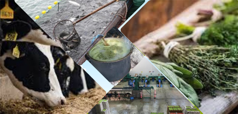 ‘Uzman Eller Projesi’ kapsamında 300 milyon TL hibe desteği sağlanacak